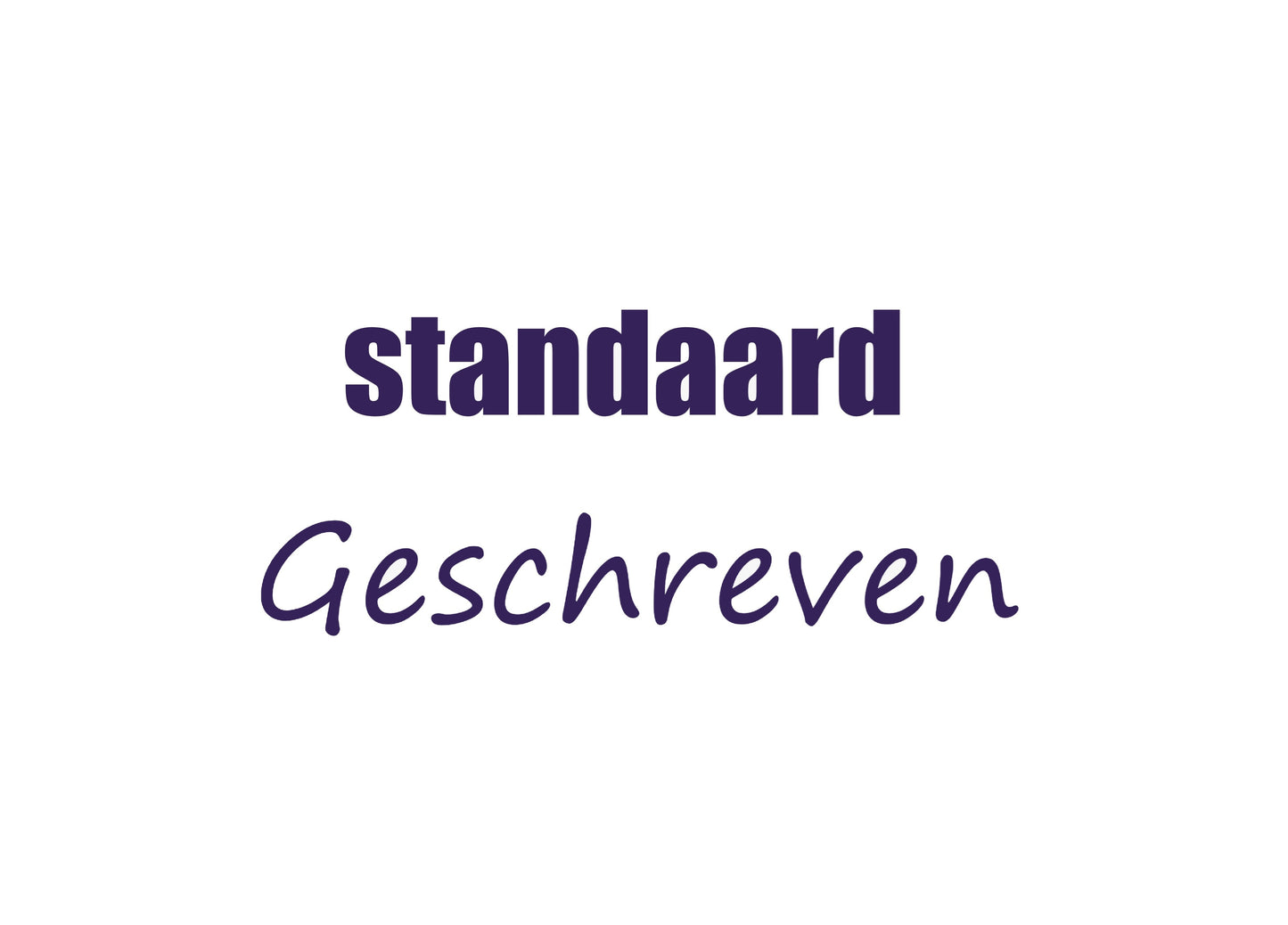 Gepersonaliseerd t-shirt volwassene